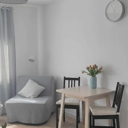 Domowa- Restauracja I Apartment Wielen Zaobrzanski