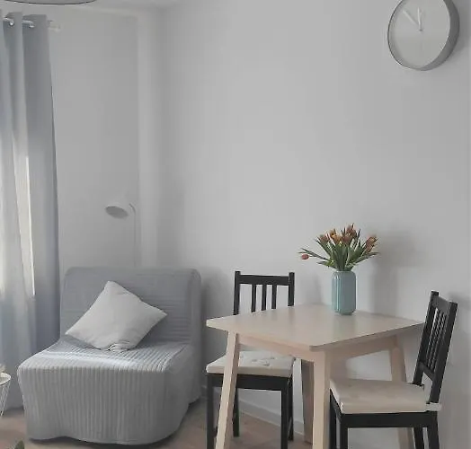 Domowa- Restauracja I Apartment Wielen Zaobrzanski