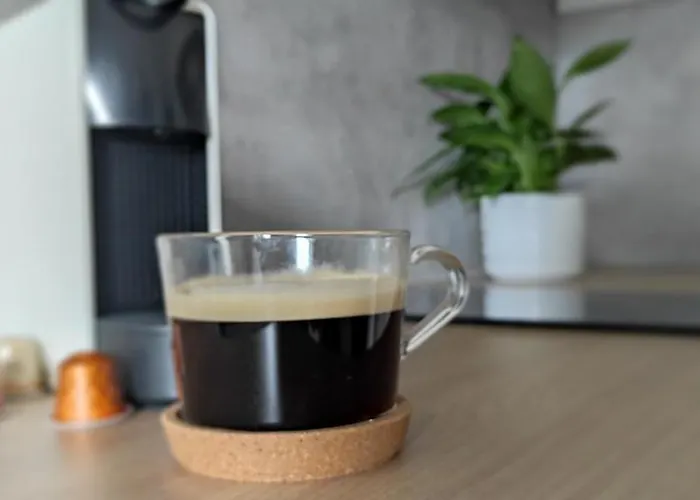 Domowa- Restauracja I Apartment Wielen Zaobrzanski