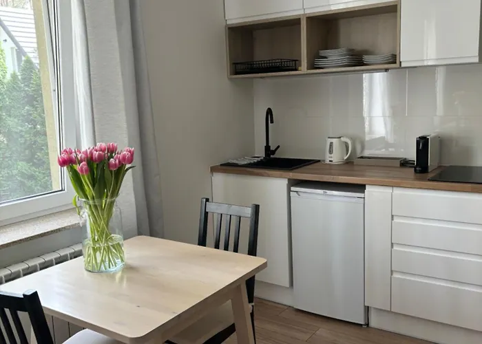 Apartment Domowa- Restauracja I *